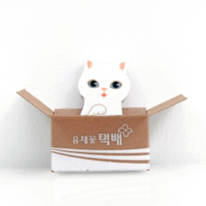 Kitty House Memo it Ari (Turkish Angora)