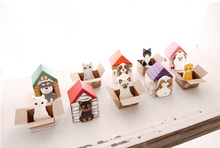 Load image into Gallery viewer, Kitty House Memo it Hoya (American short hair)