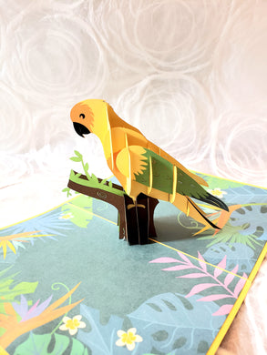Parrot