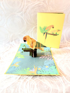 Parrot - Pop Up Card