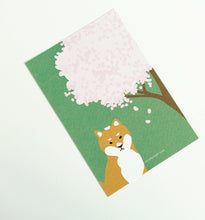 Load image into Gallery viewer, Sakura Shiba Postcard
