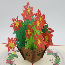 Load image into Gallery viewer, Poinsettia Pop Up