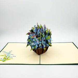 Forget Me Not - Pop Up Card