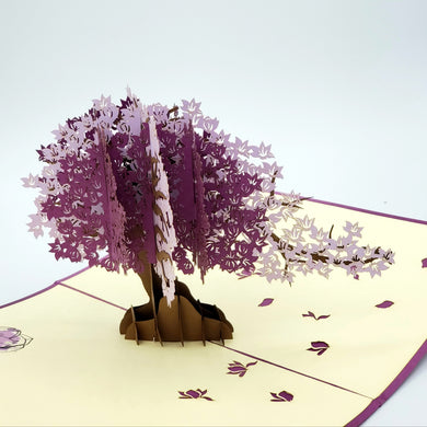 Magnolia - Pop Up Card