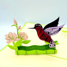 Load image into Gallery viewer, Hummingbird