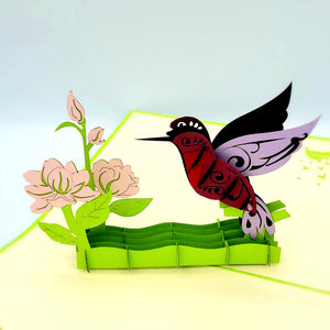 Hummingbird