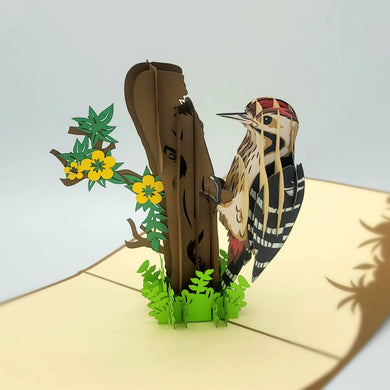 Woodpecker - Pop Up Card