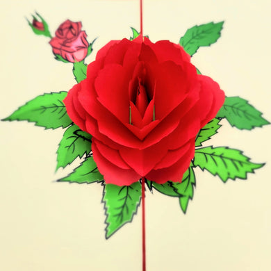 Rose - Pop Up Card