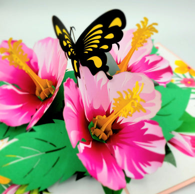 Hibiscus Garden - Pop Up