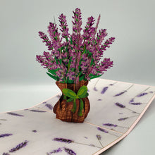 Load image into Gallery viewer, Lavender Bouquet - Pop Up