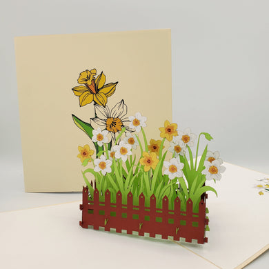 Daffodil Garden - Pop Up