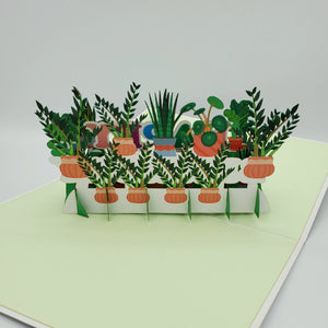 Happy Birthday Plants - Pop Up