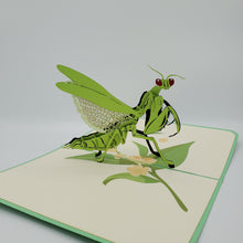 Load image into Gallery viewer, Praying Mantis - Pop Up