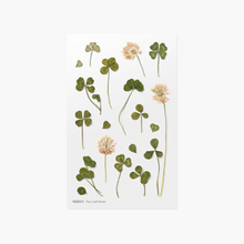 Load image into Gallery viewer, Pressed Flower Sticker - Four Leaf Clover