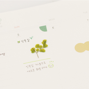 Pressed Flower Sticker - Adiantum