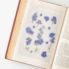 Load image into Gallery viewer, Pressed Flower Sticker - Larkspur