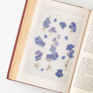 Pressed Flower Sticker - Larkspur