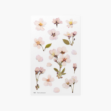 Load image into Gallery viewer, Pressed Flower Sticker - Cherry Blossom