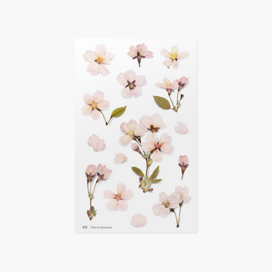 Pressed Flower Sticker - Cherry Blossom