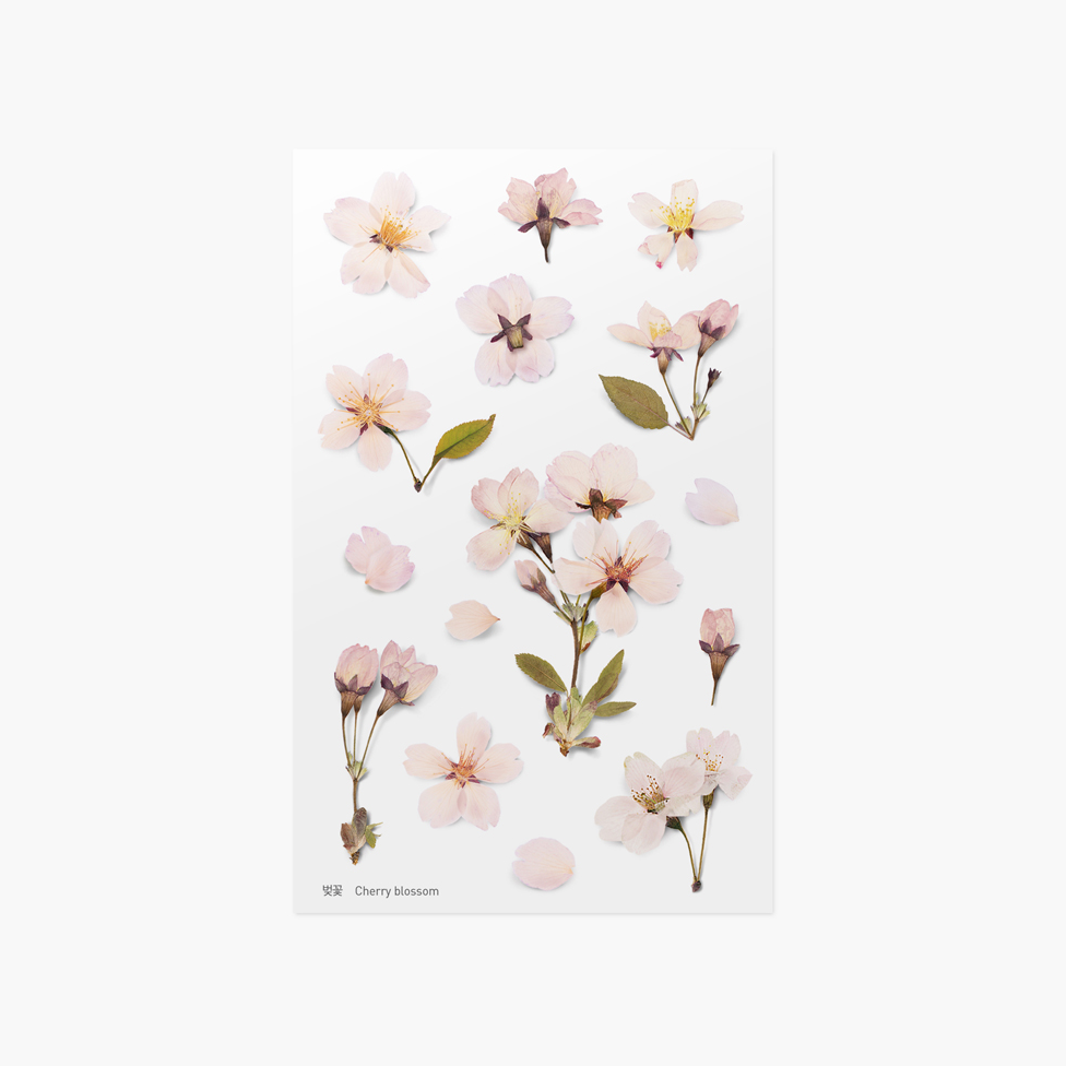 Pressed Flower Sticker - Cherry Blossom