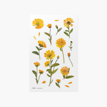Load image into Gallery viewer, Pressed Flower Sticker - Calendula