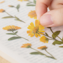 Load image into Gallery viewer, Pressed Flower Sticker - Calendula