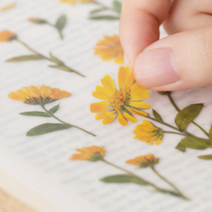 Pressed Flower Sticker - Calendula