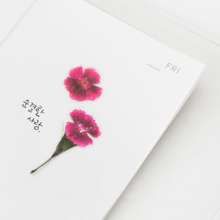 Load image into Gallery viewer, Pressed Flower Sticker - Dianthus Chinensis