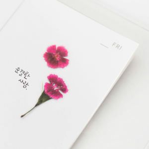 Pressed Flower Sticker - Dianthus Chinensis