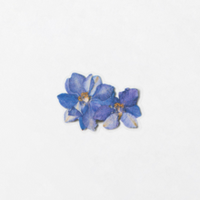 Load image into Gallery viewer, Pressed Flower Sticker - Larkspur