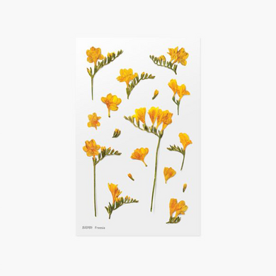 Pressed Flower Sticker - Freesia