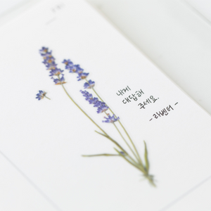 Pressed Flower Sticker - Lavender
