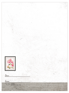 Rose Portrait - Postcard