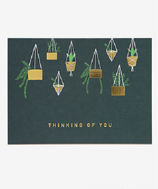 Message Card - Hanging Plant