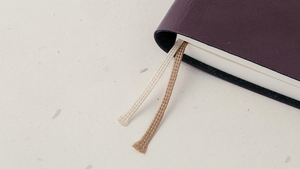 Agenda DIARY - Small - Version 13 (undated)