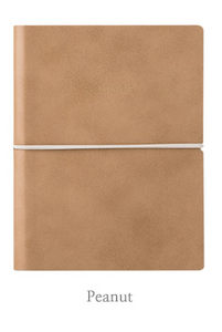 Agenda DIARY - Small - Version 13 (undated)