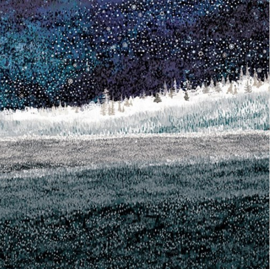 Midnight Winter Forest - Postcard