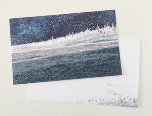 Midnight Winter Forest Postcard