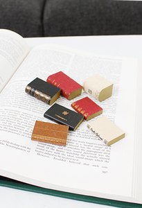 Miniature Book Set (7 pieces)