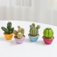 Load image into Gallery viewer, Miniature Cacti