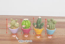 Load image into Gallery viewer, Miniature Cacti