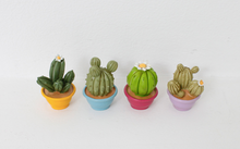 Load image into Gallery viewer, Miniature Cacti