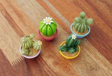 Load image into Gallery viewer, Miniature Cacti