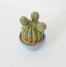 Load image into Gallery viewer, Miniature Cacti