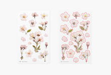 Load image into Gallery viewer, Pressed Flower Sticker - Cherry Blossom