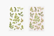 Load image into Gallery viewer, Pressed Flower Sticker - Adiantum