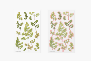 Pressed Flower Sticker - Adiantum