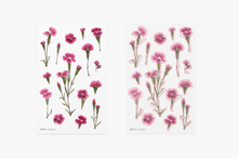 Load image into Gallery viewer, Pressed Flower Sticker - Dianthus Chinensis