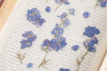 Load image into Gallery viewer, Pressed Flower Sticker - Larkspur