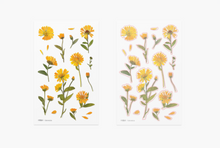 Load image into Gallery viewer, Pressed Flower Sticker - Calendula